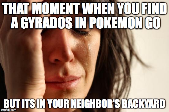 First World Problems | THAT MOMENT WHEN YOU FIND A GYRADOS IN POKEMON GO; BUT ITS IN YOUR NEIGHBOR'S BACKYARD | image tagged in memes,first world problems | made w/ Imgflip meme maker