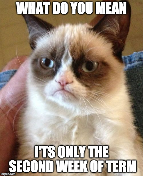 Second week of term sucks | WHAT DO YOU MEAN; I'TS ONLY THE SECOND WEEK OF TERM | image tagged in memes,grumpy cat,back to school | made w/ Imgflip meme maker