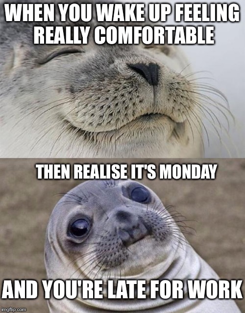 Short Satisfaction VS Truth Meme | WHEN YOU WAKE UP FEELING REALLY COMFORTABLE; THEN REALISE IT'S MONDAY; AND YOU'RE LATE FOR WORK | image tagged in memes,short satisfaction vs truth | made w/ Imgflip meme maker