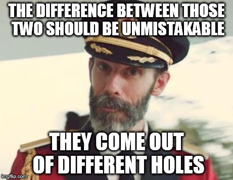 THE DIFFERENCE BETWEEN THOSE TWO SHOULD BE UNMISTAKABLE THEY COME OUT OF DIFFERENT HOLES | image tagged in captain obvious | made w/ Imgflip meme maker