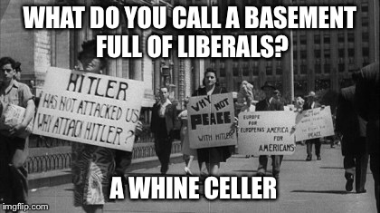 Stupid liberals | WHAT DO YOU CALL A BASEMENT FULL OF LIBERALS? A WHINE CELLER | image tagged in stupid liberals | made w/ Imgflip meme maker
