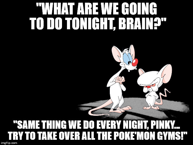 Me and two other guys stayed up til 5 AM Gym hopping |  "WHAT ARE WE GOING TO DO TONIGHT, BRAIN?"; "SAME THING WE DO EVERY NIGHT, PINKY... TRY TO TAKE OVER ALL THE POKE'MON GYMS!" | image tagged in pinky and the brain,pokemon,pokemon go,gyms,shawnljohnson | made w/ Imgflip meme maker
