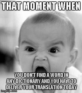 Angry Baby Meme | THAT MOMENT WHEN; YOU DON'T FIND A WORD IN ANY DICTIONARY AND YOU HAVE TO DELIVER YOUR TRANSLATION TODAY | image tagged in memes,angry baby | made w/ Imgflip meme maker