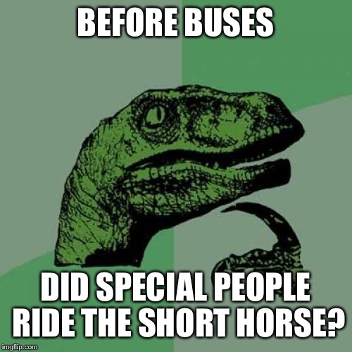 Philosoraptor | BEFORE BUSES; DID SPECIAL PEOPLE RIDE THE SHORT HORSE? | image tagged in memes,philosoraptor | made w/ Imgflip meme maker