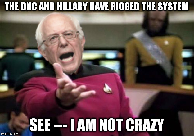 WTF Bernie Sanders | THE DNC AND HILLARY HAVE RIGGED THE SYSTEM; SEE --- I AM NOT CRAZY | image tagged in wtf bernie sanders | made w/ Imgflip meme maker