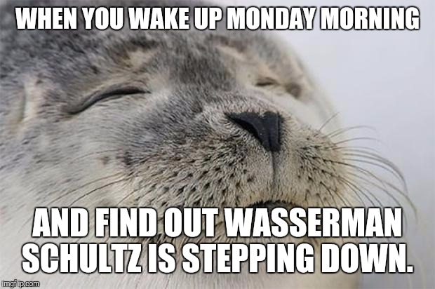 Satisfied Seal | WHEN YOU WAKE UP MONDAY MORNING; AND FIND OUT WASSERMAN SCHULTZ IS STEPPING DOWN. | image tagged in memes,satisfied seal,AdviceAnimals | made w/ Imgflip meme maker