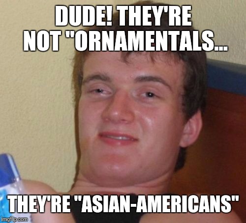10 Guy Meme | DUDE! THEY'RE NOT "ORNAMENTALS... THEY'RE "ASIAN-AMERICANS" | image tagged in memes,10 guy | made w/ Imgflip meme maker