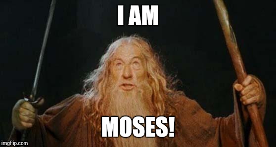 gandalf | I AM; MOSES! | image tagged in gandalf | made w/ Imgflip meme maker