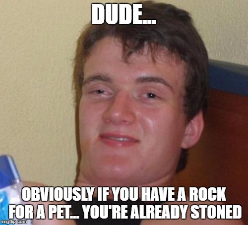 10 Guy Meme | DUDE... OBVIOUSLY IF YOU HAVE A ROCK FOR A PET... YOU'RE ALREADY STONED | image tagged in memes,10 guy | made w/ Imgflip meme maker