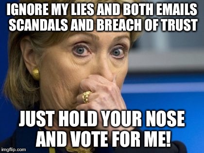 Hillary hold nose | IGNORE MY LIES AND BOTH EMAILS SCANDALS AND BREACH OF TRUST; JUST HOLD YOUR NOSE AND VOTE FOR ME! | image tagged in hillary hold nose | made w/ Imgflip meme maker
