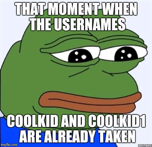 sad frog | THAT MOMENT WHEN THE USERNAMES; COOLKID AND COOLKID1 ARE ALREADY TAKEN | image tagged in sad frog | made w/ Imgflip meme maker