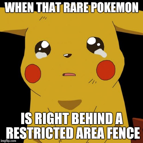 That moment when | WHEN THAT RARE POKEMON; IS RIGHT BEHIND A RESTRICTED AREA FENCE | image tagged in pikachu crying,pokemon go | made w/ Imgflip meme maker