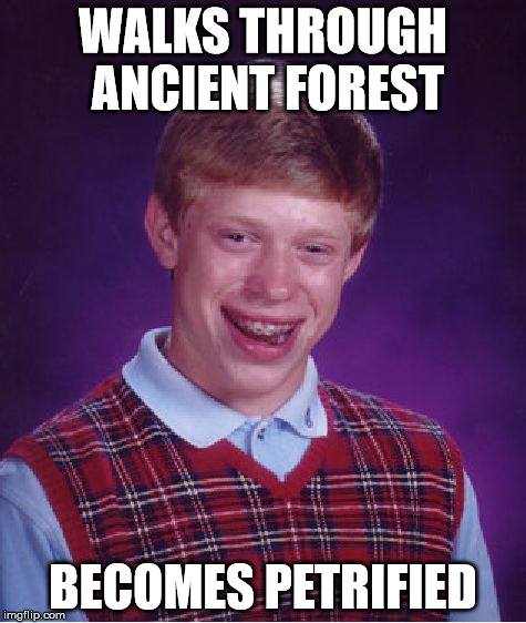 Bad Luck Brian Meme | WALKS THROUGH ANCIENT FOREST; BECOMES PETRIFIED | image tagged in memes,bad luck brian | made w/ Imgflip meme maker