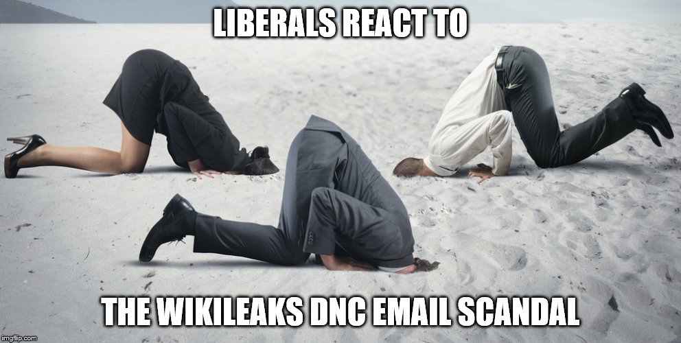 Liberals...meh... | LIBERALS REACT TO; THE WIKILEAKS DNC EMAIL SCANDAL | image tagged in dnc | made w/ Imgflip meme maker