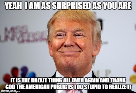 Donald trump approves | YEAH  I AM AS SURPRISED AS YOU ARE; IT IS THE BREXIT THING ALL OVER AGAIN AND THANK GOD THE AMERICAN PUBLIC IS TOO STUPID TO REALIZE IT | image tagged in donald trump approves | made w/ Imgflip meme maker