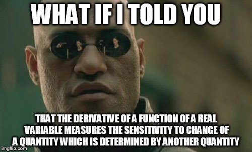 Matrix Morpheus Meme | WHAT IF I TOLD YOU; THAT THE DERIVATIVE OF A FUNCTION OF A REAL VARIABLE MEASURES THE SENSITIVITY TO CHANGE OF A QUANTITY WHICH IS DETERMINED BY ANOTHER QUANTITY | image tagged in memes,matrix morpheus | made w/ Imgflip meme maker