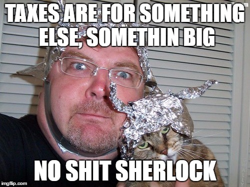 conspiracy buddies | TAXES ARE FOR SOMETHING ELSE, SOMETHIN BIG; NO SHIT SHERLOCK | image tagged in funny | made w/ Imgflip meme maker