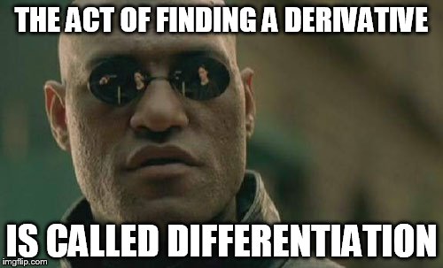 Matrix Morpheus | THE ACT OF FINDING A DERIVATIVE; IS CALLED DIFFERENTIATION | image tagged in memes,matrix morpheus | made w/ Imgflip meme maker