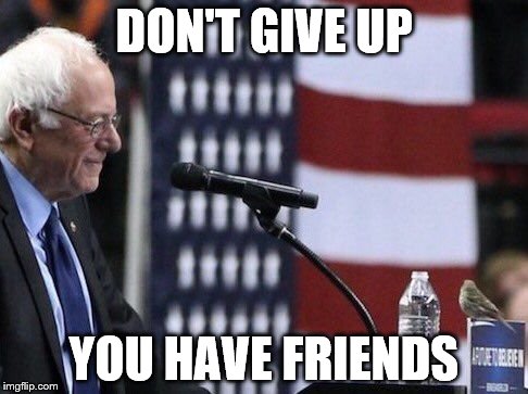 Bernie Sanders and Friend. | DON'T GIVE UP; YOU HAVE FRIENDS | image tagged in bernie2016,democratic convention,dncleaks | made w/ Imgflip meme maker