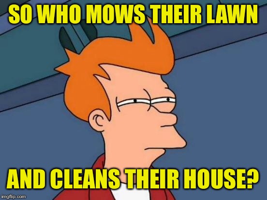 Futurama Fry Meme | SO WHO MOWS THEIR LAWN AND CLEANS THEIR HOUSE? | image tagged in memes,futurama fry | made w/ Imgflip meme maker