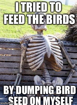 Waiting Skeleton Meme | I TRIED TO FEED THE BIRDS; BY DUMPING BIRD SEED ON MYSELF | image tagged in memes,waiting skeleton | made w/ Imgflip meme maker