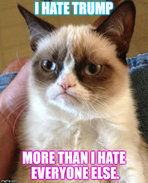 Grumpy Cat | I HATE TRUMP; MORE THAN I HATE EVERYONE ELSE. | image tagged in memes,grumpy cat | made w/ Imgflip meme maker