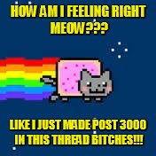 nyan cat | HOW AM I FEELING
RIGHT MEOW??? LIKE I JUST MADE POST 3000 IN THIS THREAD BITCHES!!! | image tagged in nyan cat | made w/ Imgflip meme maker
