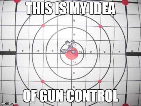 image tagged in target,funny,gun control | made w/ Imgflip meme maker