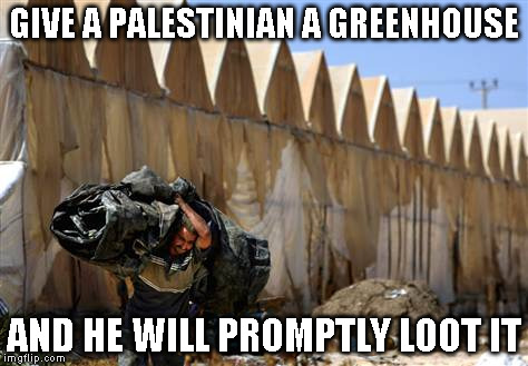 GIVE A PALESTINIAN A GREENHOUSE; AND HE WILL PROMPTLY LOOT IT | image tagged in greenhouse looter | made w/ Imgflip meme maker