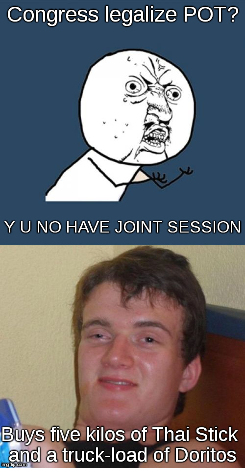 10 guy got your back! | Congress legalize POT? Y U NO HAVE JOINT SESSION; Buys five kilos of Thai Stick and a truck-load of Doritos | image tagged in memes,funny,y u no,10 guy,legalize pot,munchies | made w/ Imgflip meme maker