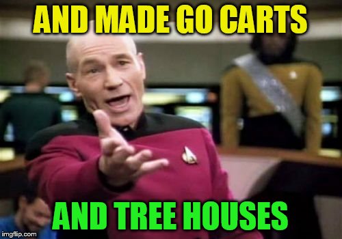 Picard Wtf Meme | AND MADE GO CARTS AND TREE HOUSES | image tagged in memes,picard wtf | made w/ Imgflip meme maker