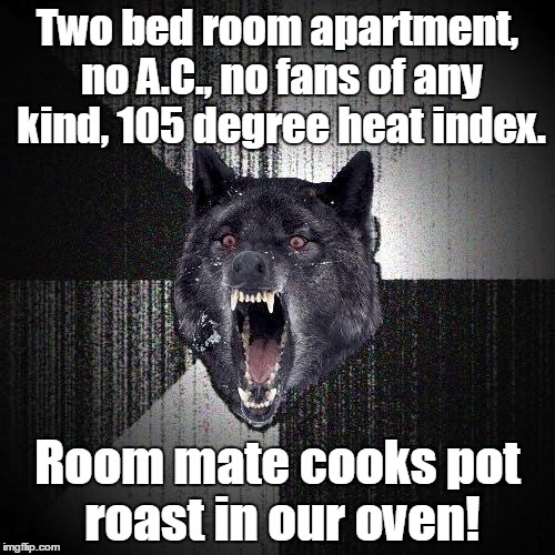 Insanity Wolf Meme | Two bed room apartment, no A.C., no fans of any kind, 105 degree heat index. Room mate cooks pot roast in our oven! | image tagged in memes,insanity wolf | made w/ Imgflip meme maker