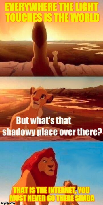the internet is evil!!! | EVERYWHERE THE LIGHT TOUCHES IS THE WORLD; THAT IS THE INTERNET, YOU MUST NEVER GO THERE SIMBA | image tagged in memes,simba shadowy place,the internet | made w/ Imgflip meme maker