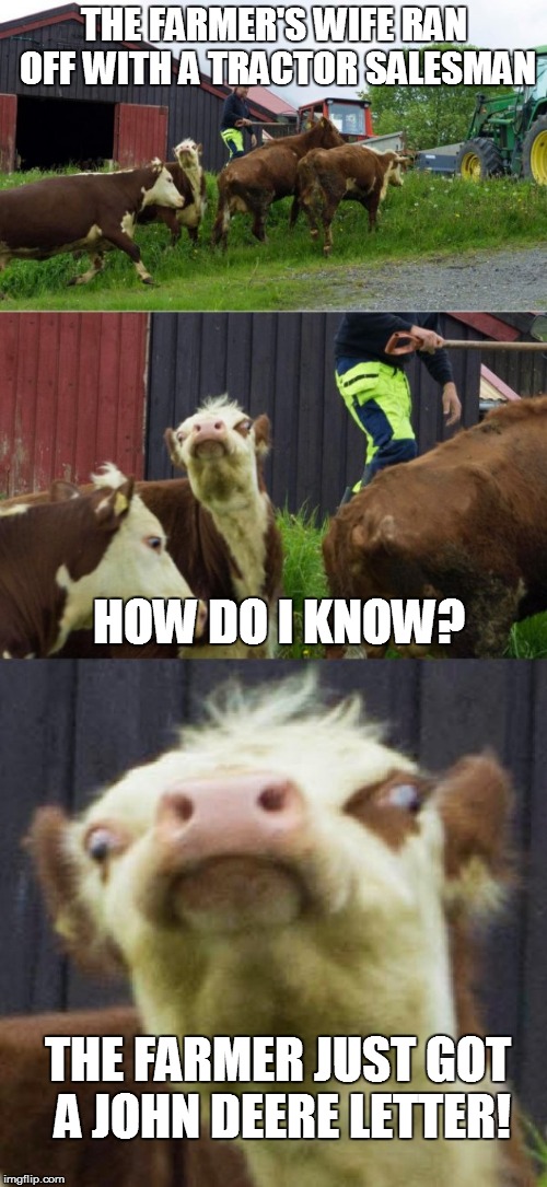 Bad Pun Cow... sorry if you don't get the joke | THE FARMER'S WIFE RAN OFF WITH A TRACTOR SALESMAN; HOW DO I KNOW? THE FARMER JUST GOT A JOHN DEERE LETTER! | image tagged in bad pun cow,farmer,john deere,hahaha,funny memes | made w/ Imgflip meme maker