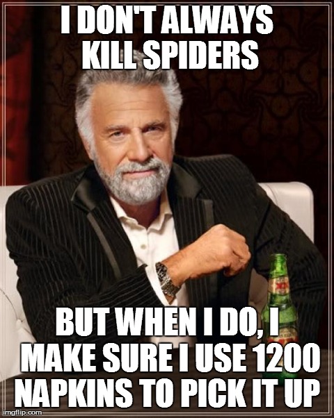 The Most Interesting Man In The World Meme | I DON'T ALWAYS KILL SPIDERS BUT WHEN I DO, I MAKE SURE I USE 1200 NAPKINS TO PICK IT UP  | image tagged in memes,the most interesting man in the world,funny | made w/ Imgflip meme maker