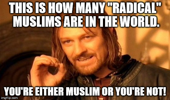 One Does Not Simply | THIS IS HOW MANY "RADICAL" MUSLIMS ARE IN THE WORLD. YOU'RE EITHER MUSLIM OR YOU'RE NOT! | image tagged in memes,one does not simply | made w/ Imgflip meme maker