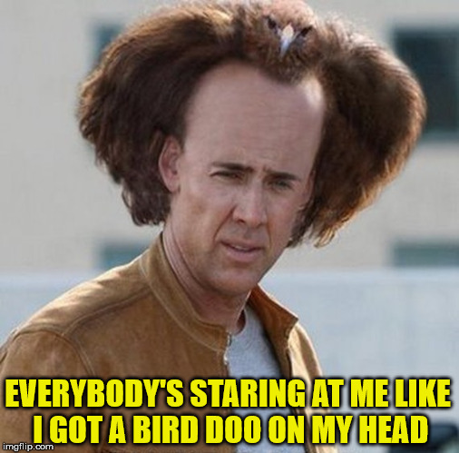 When A Hairdo Becomes A Bird Doo | EVERYBODY'S STARING AT ME LIKE I GOT A BIRD DOO ON MY HEAD | image tagged in funny memes,puns,nicholas cage | made w/ Imgflip meme maker