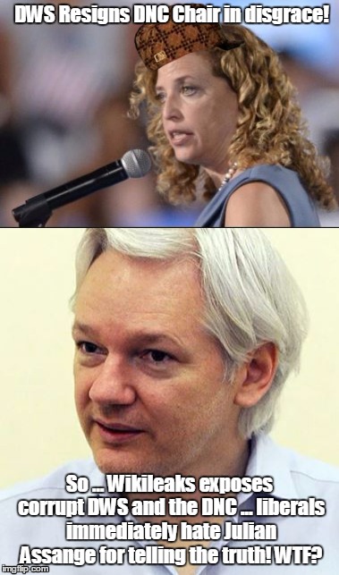 LibLogic | DWS Resigns DNC Chair in disgrace! So ... Wikileaks exposes corrupt DWS and the DNC ... liberals immediately hate Julian Assange for telling the truth! WTF? | image tagged in dncleaks | made w/ Imgflip meme maker