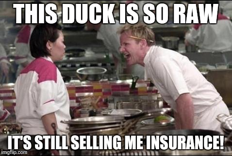 Angry Chef Gordon Ramsay Meme | THIS DUCK IS SO RAW; IT'S STILL SELLING ME INSURANCE! | image tagged in memes,angry chef gordon ramsay | made w/ Imgflip meme maker