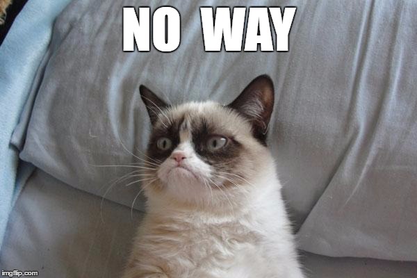 Grumpy Cat Bed | NO  WAY | image tagged in memes,grumpy cat bed,grumpy cat | made w/ Imgflip meme maker