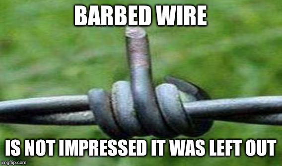 BARBED WIRE IS NOT IMPRESSED IT WAS LEFT OUT | made w/ Imgflip meme maker