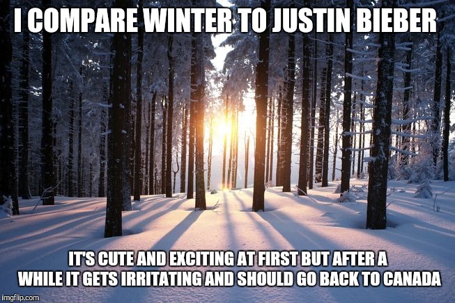 I Speak Truth in Metaphors | I COMPARE WINTER TO JUSTIN BIEBER; IT'S CUTE AND EXCITING AT FIRST BUT AFTER A WHILE IT GETS IRRITATING AND SHOULD GO BACK TO CANADA | image tagged in justin bieber,winter | made w/ Imgflip meme maker