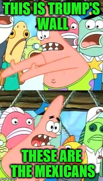 Put It Somewhere Else Patrick Meme | THIS IS TRUMP'S WALL; THESE ARE THE MEXICANS | image tagged in memes,put it somewhere else patrick | made w/ Imgflip meme maker
