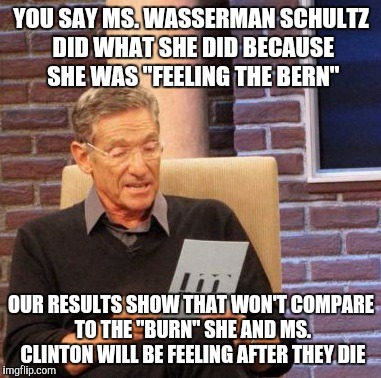 Maury Lie Detector | YOU SAY MS. WASSERMAN SCHULTZ DID WHAT SHE DID BECAUSE SHE WAS "FEELING THE BERN"; OUR RESULTS SHOW THAT WON'T COMPARE TO THE "BURN" SHE AND MS. CLINTON WILL BE FEELING AFTER THEY DIE | image tagged in memes,maury lie detector | made w/ Imgflip meme maker