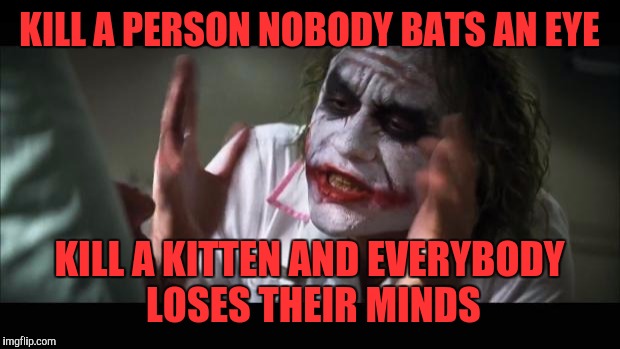 And everybody loses their minds | KILL A PERSON NOBODY BATS AN EYE; KILL A KITTEN AND EVERYBODY LOSES THEIR MINDS | image tagged in memes,and everybody loses their minds | made w/ Imgflip meme maker