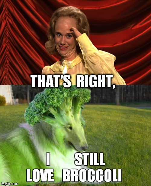 When the family demands you "love" your Broccoli.  | THAT'S  RIGHT, I         STILL; LOVE   BROCCOLI | image tagged in meme,broccoli,funny,kristen wiig,dog,gross | made w/ Imgflip meme maker