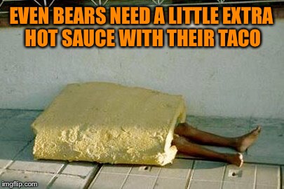 EVEN BEARS NEED A LITTLE EXTRA HOT SAUCE WITH THEIR TACO | made w/ Imgflip meme maker