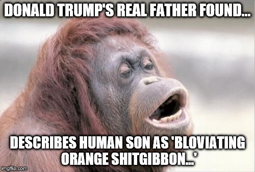 Monkey OOH Meme | DONALD TRUMP'S REAL FATHER FOUND... DESCRIBES HUMAN SON AS 'BLOVIATING ORANGE SHITGIBBON...' | image tagged in memes,monkey ooh | made w/ Imgflip meme maker