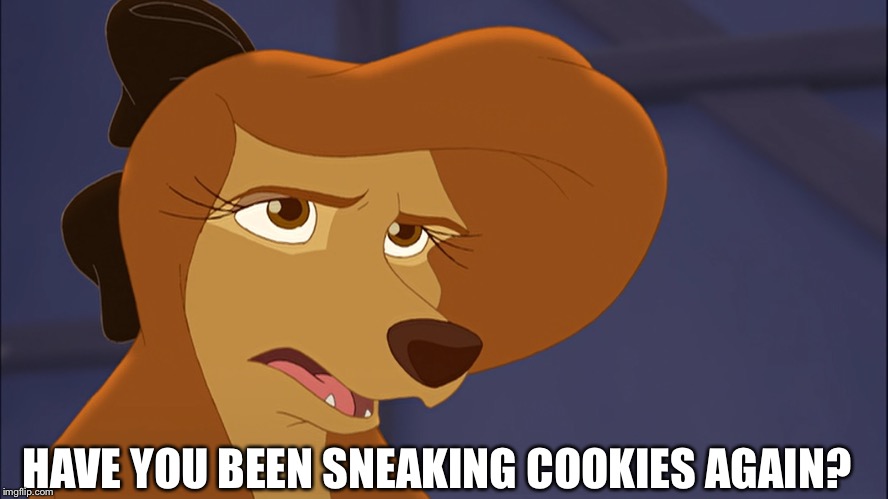 Have You Been Sneaking Cookies Again? | HAVE YOU BEEN SNEAKING COOKIES AGAIN? | image tagged in dixie bored,memes,disney,the fox and the hound 2,reba mcentire,dog | made w/ Imgflip meme maker