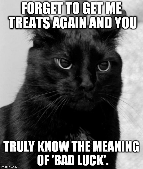 Black cat pissed | FORGET TO GET ME TREATS AGAIN AND YOU; TRULY KNOW THE MEANING OF 'BAD LUCK'. | image tagged in black cat pissed | made w/ Imgflip meme maker